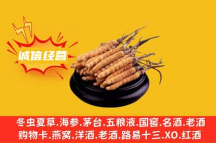 丹东元宝区回收冬虫夏草